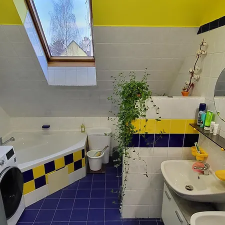 Homestay Husovka - Matyas *