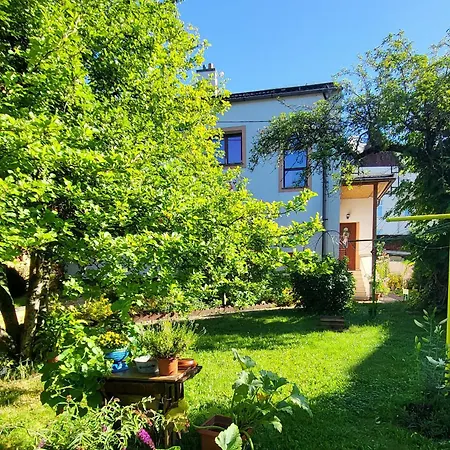 Homestay Husovka - Matyas *