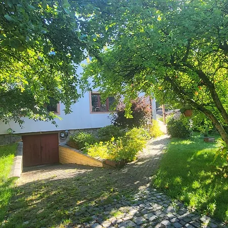 Husovka - Matyas