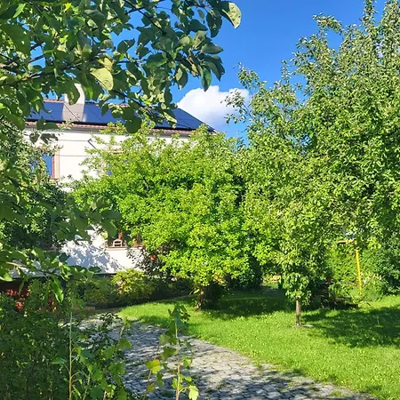 Husovka - Matyas * Bruntal