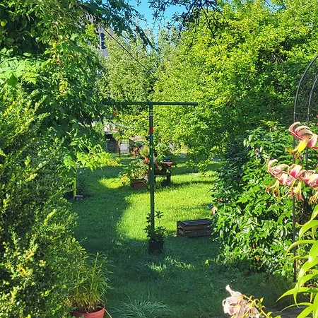 Homestay Husovka - Matyas