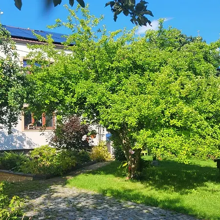 Homestay Husovka - Matyas *